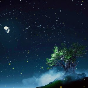 收聽施勿言的ASMR雨聲催眠（阿爾法腦波音樂） (完整版)歌詞歌曲