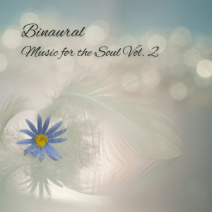 อัลบัม Binaural: Music for the Soul Vol. 2 ศิลปิน Yoga Soul