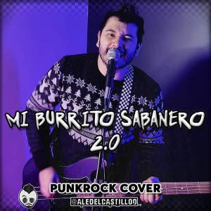 ดาวน์โหลดและฟังเพลง Mi Burrito Sabanero 2.0 (Cover) พร้อมเนื้อเพลงจาก Aledelcastillod