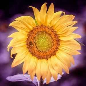Listen to Perfect Relax Zone song with lyrics from Yoga Music