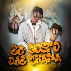 ดาวน์โหลดและฟังเพลง EU GOSTO QUE CHAMA (Explicit) พร้อมเนื้อเพลงจาก MC Menininho