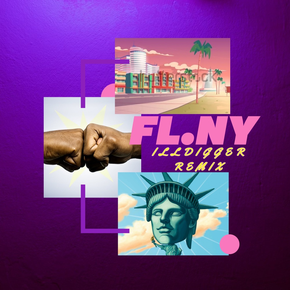 Fl.ny (ILLDIGGER REMIX) (Explicit) (ILLDIGGER REMIX|Explicit)