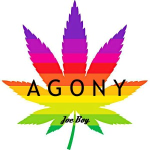 ดาวน์โหลดและฟังเพลง Agony พร้อมเนื้อเพลงจาก Joeboy