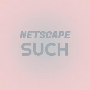 Listen to Netscape Such song with lyrics from Kely Langit
