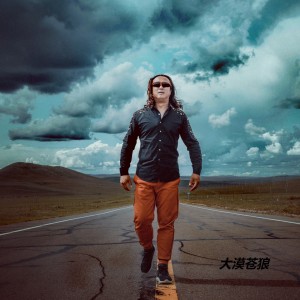 Listen to 大漠苍狼 song with lyrics from 巴特尔