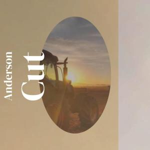 Listen to Animated song with lyrics from Aard Lider