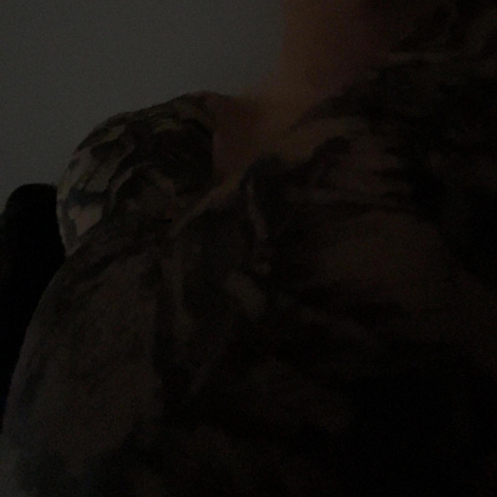Dosey (Explicit)