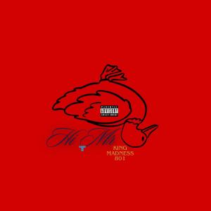 Listen to Hi Mr T (Explicit) song with lyrics from King Madness 801