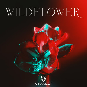 Wildflower dari Vivaldi