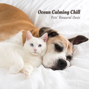 Album Ocean Calming Chill: Pets' Binaural Oasis from Pure Binaural Beats