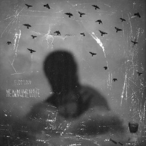 Listen to NenaumeOruj'e song with lyrics from Hugo Loud