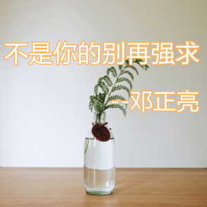 收聽鄧正亮的不是你的別再強求歌詞歌曲