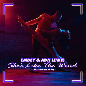 ADN Lewis的專輯She's Like The Wind (Through My Tree)