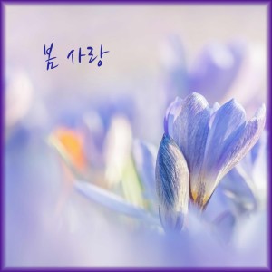 收听레온 LEON的봄 사랑歌词歌曲