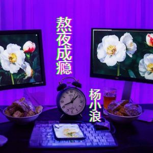 Album 熬夜成瘾 from 杨小浪