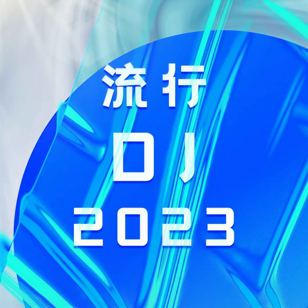 原来我从未占据过你的心 (DJ版)