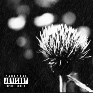 Listen to Thorn (Explicit) song with lyrics from azami