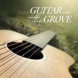 อัลบัม Guitar in the Grove ศิลปิน Chris Collins