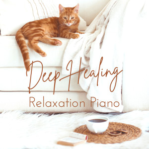 Listen to Get Round to Relaxation song with lyrics from Piano Cats
