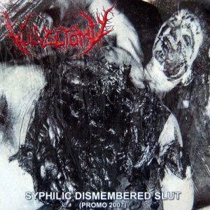 ดาวน์โหลดและฟังเพลง Molesting Dislimbed Whore พร้อมเนื้อเพลงจาก Vulvectomy