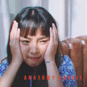 Dengarkan lagu Extraordinary nyanyian Anatomy Rabbit dengan lirik