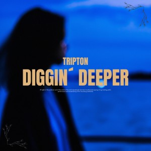 收聽Tripton的Don´t Let Me Go歌詞歌曲