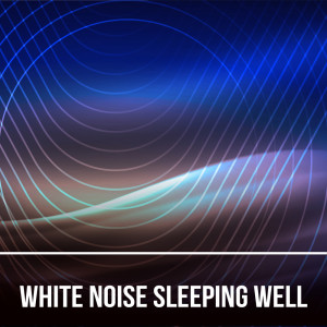 อัลบัม White Noise Sleeping Well (Loopable with no fade) ศิลปิน #Whitenoise