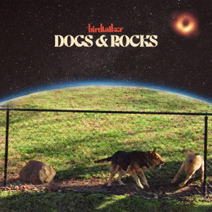 Birdtalker的專輯Dogs & Rocks