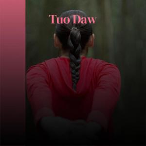 收听Eles Zamy的Osi Circumspect歌词歌曲