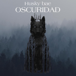 ดาวน์โหลดและฟังเพลง Oscuridad พร้อมเนื้อเพลงจาก Husky bae