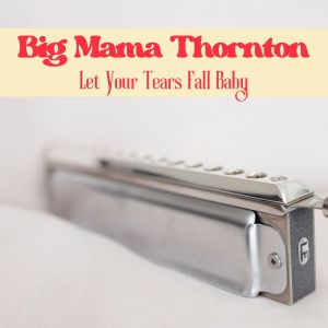 Let Your Tears Fall Baby dari Big Mama Thornton