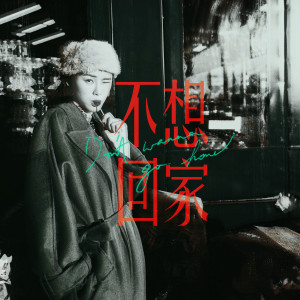 收聽陳蕾 Panther Chan的不想回家歌詞歌曲