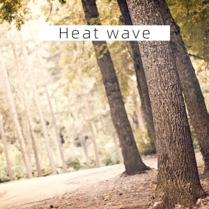 Annie的專輯Heat wave