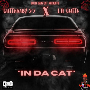Album In da Cat (Explicit) from GuttaBaby 5'3