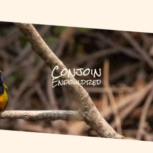 Listen to Diamond Cellular song with lyrics from Pearlina
