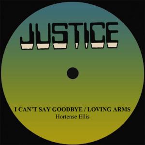 ดาวน์โหลดและฟังเพลง I Can't Say Goodbye พร้อมเนื้อเพลงจาก Hortense Ellis