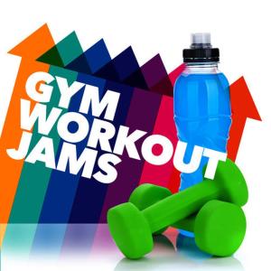 收聽Workout Trax Playlist的Giant (124 BPM)歌詞歌曲