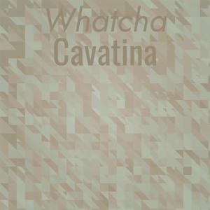 Album Whatcha Cavatina from Various