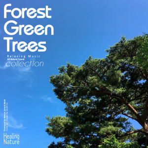 Dengarkan Forest Retreat lagu dari 힐링 네이쳐 Nature Sound Band dengan lirik