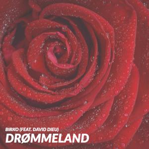 Shade的专辑Drømmeland (feat. David Dieu) (Explicit)