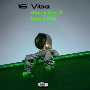 Album 16 Vibe (feat. Slim J RSA) from 