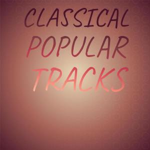 Various Artists的專輯Classical Popular Tracks