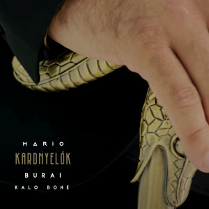 Kálo Bone的专辑Kardnyelők (Explicit)