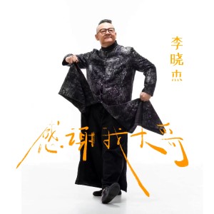 Listen to 感谢我大哥 (DJ阿远版) song with lyrics from 李晓杰