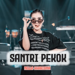 Dengarkan Santri Pekok lagu dari Nella Kharisma dengan lirik