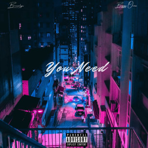 收听Bronxlyn的You Need (Explicit)歌词歌曲