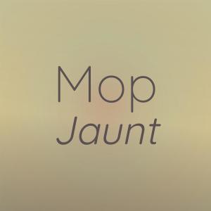 Various的专辑Mop Jaunt