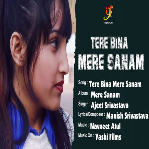 收聽Ajeet Srivastava的Tere Bina Mere Sanam歌詞歌曲