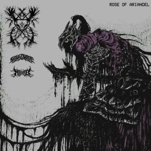 dollbreaker的專輯ROSE OF ARIANDEL (Explicit)