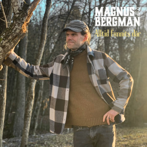 收聽Magnus Bergman的Alltid funnits där歌詞歌曲